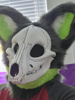 Ace the Skulldog (v1)